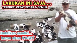 SELAMAT TINGGAL CARA LAMA ADA CARA BARU LEBIH JITU ENTOK CEPAT BESAR ,SEHAT DAN BERBOBOT