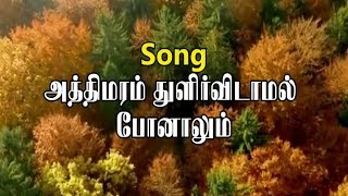 Athimaram Thulir vidamal | அத்திமரம் துளிர்விடாமல்  | TAMIL CHRISTIAN SONGS