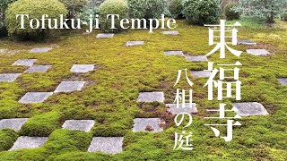 京都 冬の東福寺 Tofuku-ji Temple 京都の庭園巡り