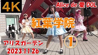 紅葉学院①【４Ｋ，横】2023.11.26 　Alice de 愛 DOL Vol.05・アリスガーデン