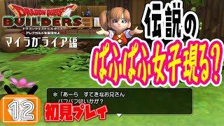 【ドラクエビルダーズ 実況】ドラクエ勢がビルダーに目覚めちゃうクラフトRPG#12【PS4版初見配信】