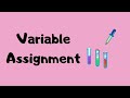Variable Assignment in Java | Lecture - 7