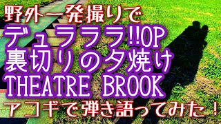 【デュラララ‼︎OP - 裏切りの夕焼け / THEATRE BROOK】弾き語りカバー＠江戸川 / 丸山詩乃