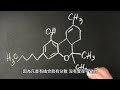 金剛經翻譯 一合理相分第三十