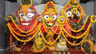 1-02-2025[ଶ୍ରୀ ଜଗନ୍ନାଥ ସଂନ୍ଧ୍ୟା ଆରତୀ ]Jagannath sandhya arati #Jagannathtemple #puri