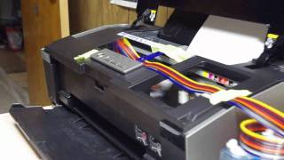 r1900 cis