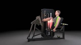 DHZ Fitness EVOST II - A3003 Leg Press