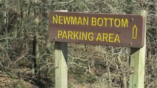 FishTales: Newman Bottom Opens!