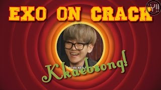 ► EXO ON CRACK - Ep. 1