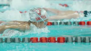 WPI Swimming \u0026 Diving Program Highlights 2023-2024