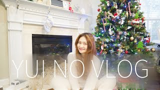 (アメリカ生活VLOG)何処もかしこもクリスマスモード♡|ニューボーンフォト|バースデーパーティー|モールへ