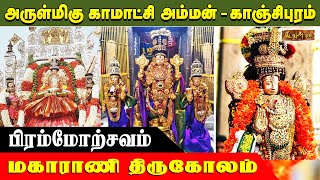 அருள்மிகு காஞ்சிபுரம் காமாட்சி அம்மன் | மகாராணி திருகோலம் | Sri Kamakshi Amman Temple | Kadavul TV