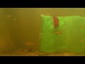 gopro camera in a fish trap firetail gudgeons hypseleotris galii