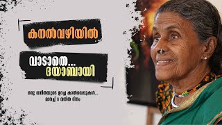 കനൽ വഴിയിൽ വാടാതെ... ദയാബായ്/ ലോകാവനിതാ ദിനം സ്പെഷ്യൽ /pax communications