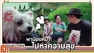 โป๊ะDuciton : พาน้องหมา ไปหาความสุข