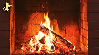 10 HOURS of Relaxing Fireplace Sounds - Burning Fireplace \u0026 Crackling Fire Sounds (NO MUSIC)