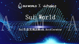 Sui World: Sui生态发展及Move Accelerator