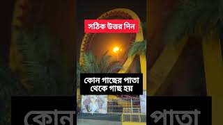 কোন গাছের পাতা থেকে গাছ হয়।। #shorts #food #shortsvideo #shortsfeed