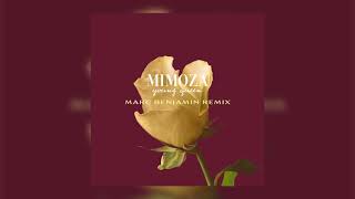 Mimoza - Young Queen (Marc Benjamin Remix)