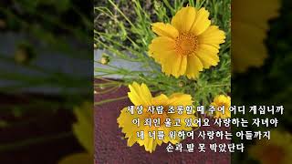 사랑하는 자녀야(노금선 작사,작곡)