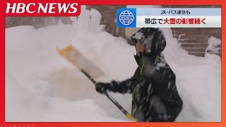 【帯広の記録的大雪】市民生活への影響続く　路線バスは終日運休　小中学校臨時休校　物流にも遅れ　北海道