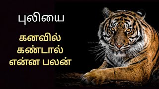 புலியை கனவில் கண்டால் என்ன பலன்/tiger dream benifits