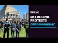 More than 200 protesters arrested at Melbourne's Shrine of Remembrance | ABC News