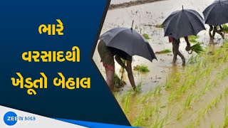 Monsoon Update | સતત વરસાદથી ખેડૂતો ત્રસ્ત | Farmers Situation in Rain | Gujarat | @Zee24KalakGujarati