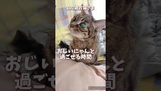 【21歳老猫ココさん】忘れがちだけど忘れちゃいけない #高齢猫 #猫のいる暮らし #老猫 #老猫ココ #cat #保護猫 #シニア猫 #お猫様 #老猫介護 #ねこ #猫動画