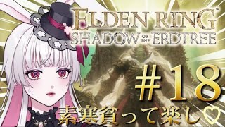 【エルデンリング 】ミケラダーン倒しますわよぉぉ↑↑↑🐰※ネタバレ注意【 ELDEN RING #18】