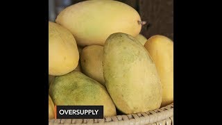 DA targets at least 1 million kilos of excess mangoes to be sold