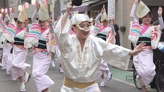 薄暮と夜の流し踊り「東京えびす連」第53回中目黒夏まつり（2018.8.4）