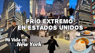 MI VIDA EN NEW YORK / CONOCIENDO LA NIEVE