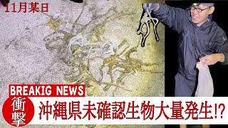 【沖縄釣り】大量発生している未確認生物を追え【イザリ】