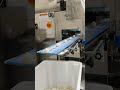 Rheon KN135 Encrusting Machine - Part 2