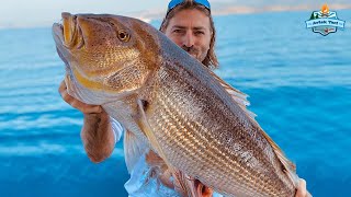 We Catch Monster!! Giant Record Red Fish DENTEX with live Bait!!