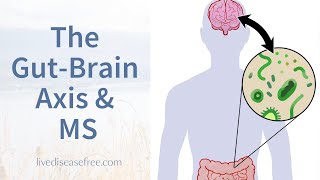 The Gut-Brain Axis and Multiple Sclerosis | Pam Bartha