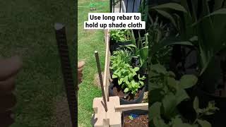 NO TOOLS 1 HR #gardenbed #gardenhacks #gardening #gardentips #texasgarden #gardebdesign #growfood