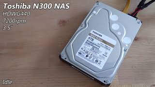 Toshiba N300 NAS HDWG440 4TB (2022) - Hard Drive Sounds