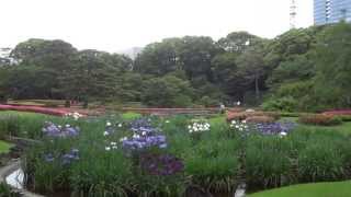 皇居（東御苑）　二の丸庭園　菖蒲が見頃に　２０１３．５．３０　East Gardens of the Imperial Palace Ninomaru Garden Japanese iris