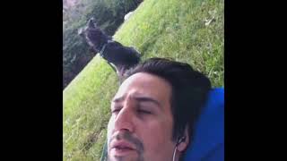 “Come on brain” Lin Manuel Miranda vine