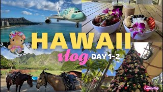 【HAWAII vlog】冬のハワイ最新4泊6日🌺感動のシルクドソレイユやクアロアランチバギーツアー/円安でもハッピーアワーでお得にステーキを食す❤️‍🔥全室改装後のシェラトンワイキキ🏝️