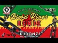 Dj DONZ - Blood River - Hervin Hitz - Silent Brothers