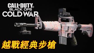 三發點放全距離通用 M16 Gameplay-決勝時刻:黑色行動 冷戰-Call of Duty: Black Ops Cold War