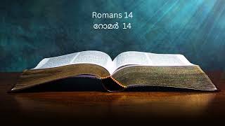 Romans 14 റോമർ 14 Malayalam Audio Bible