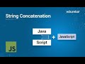 How to concat two string in Javascript  Concatenation
