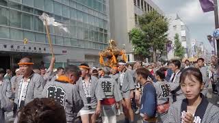 小岩神社　例大祭　2023/8/20 c12