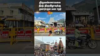 திருவண்ணாமலை கார்த்திகை தீப தேர் | கோவில் திருவிழா | சன் நியூஸ்