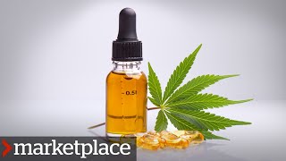 Your CBD products might still be prohibited. Here’s why (Marketplace)
