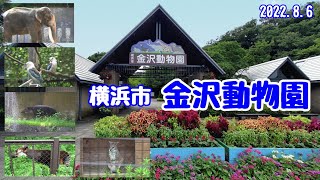 横浜市立 金沢動物園。バナナを食べているバクの顔が幸せそうです。